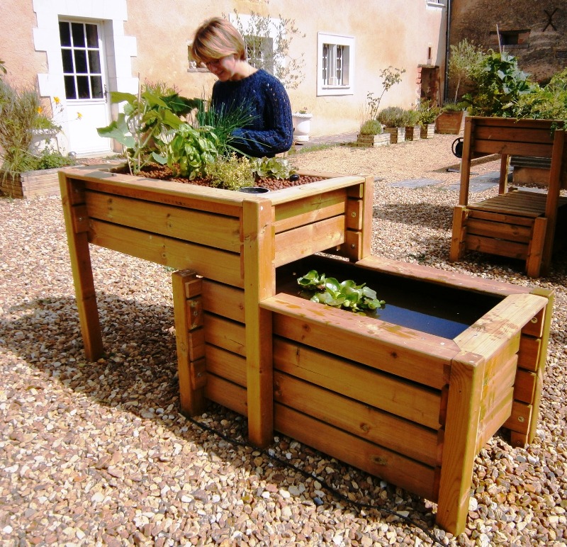 bassin poisson potager