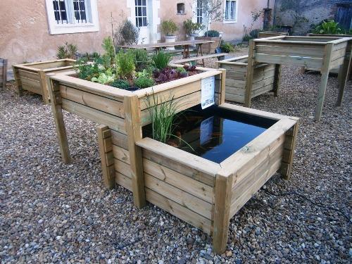 bassin poisson potager