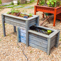 Bassin-potager Aquaponique Géraldine 2