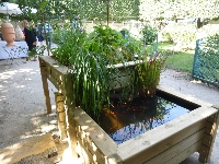 Bassin-potager Aquaponique Géraldine 1