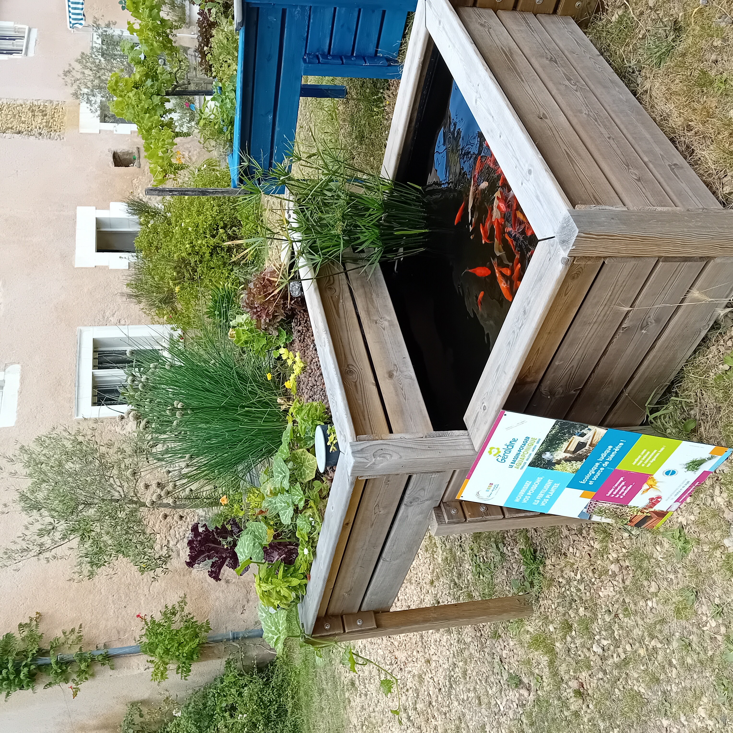 Ateliers d'initiation � l'aquaponie