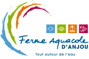 Retourner à l'accueil