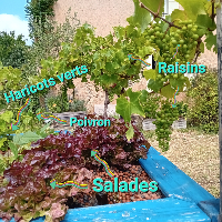 Bassin-potager Aquaponique Géraldine 1
