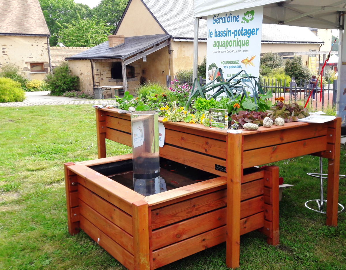 Bassin-potager Aquaponique Géraldine 5