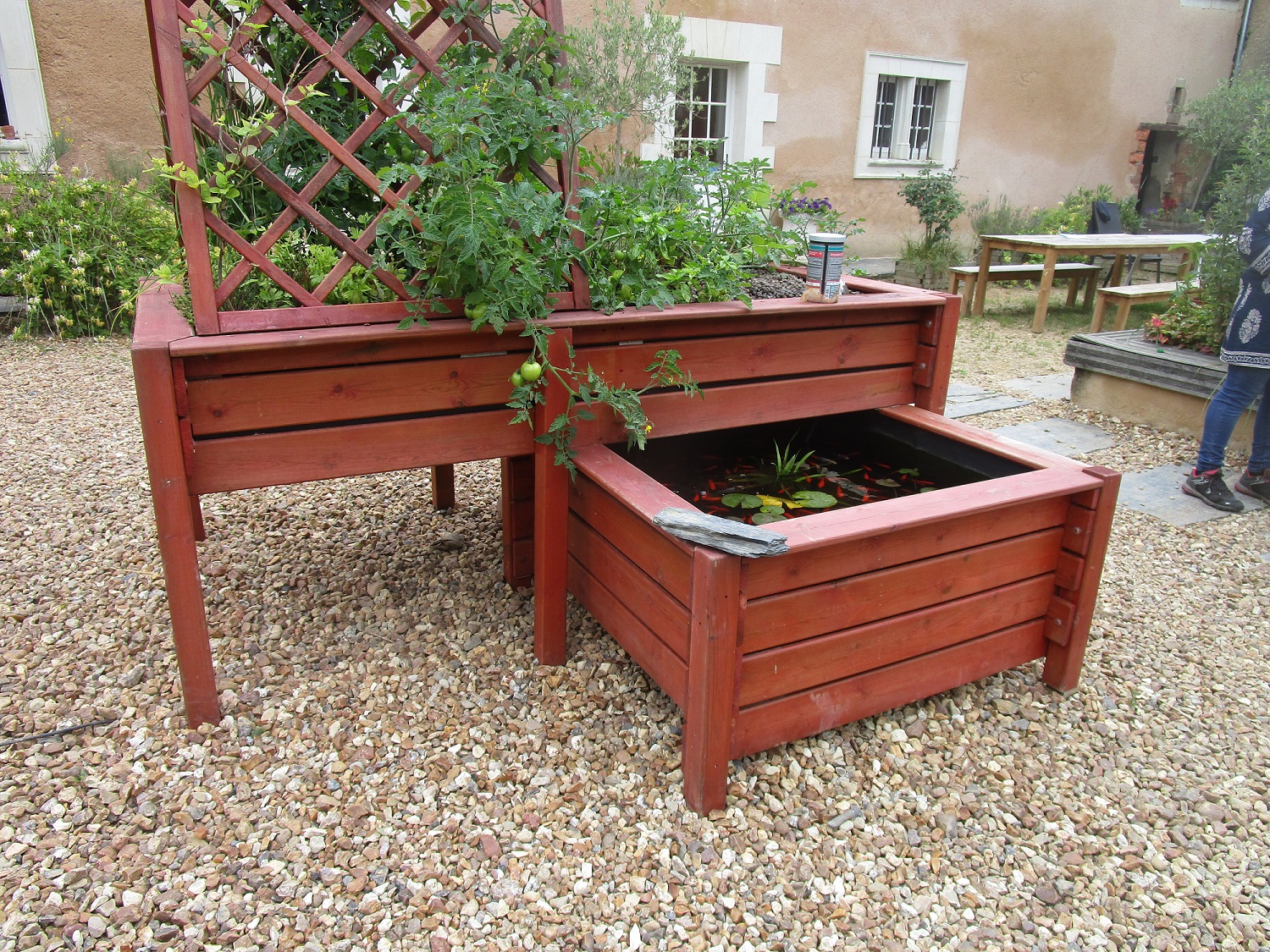 Bassin-potager Aquaponique Géraldine 5