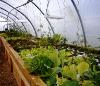 serre type ferme urbaine ou familiale