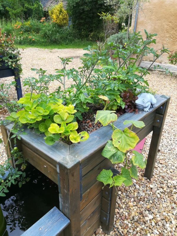 Bassin-potager Aquaponique Géraldine 2