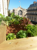 Bassin-potager Aquaponique Géraldine 2