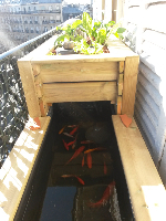 Bassin-potager Aquaponique Géraldine 2